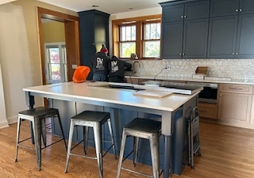 kitchen with television and updated fridge in Hinsdale