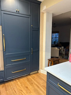 open door view into a Park Ridge kitchen remodel